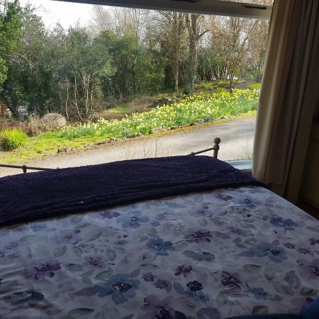 Hollybanks Apartment Moycullen Стая снимка