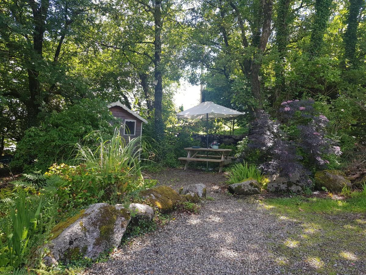 Hollybanks Apartment Moycullen Екстериор снимка