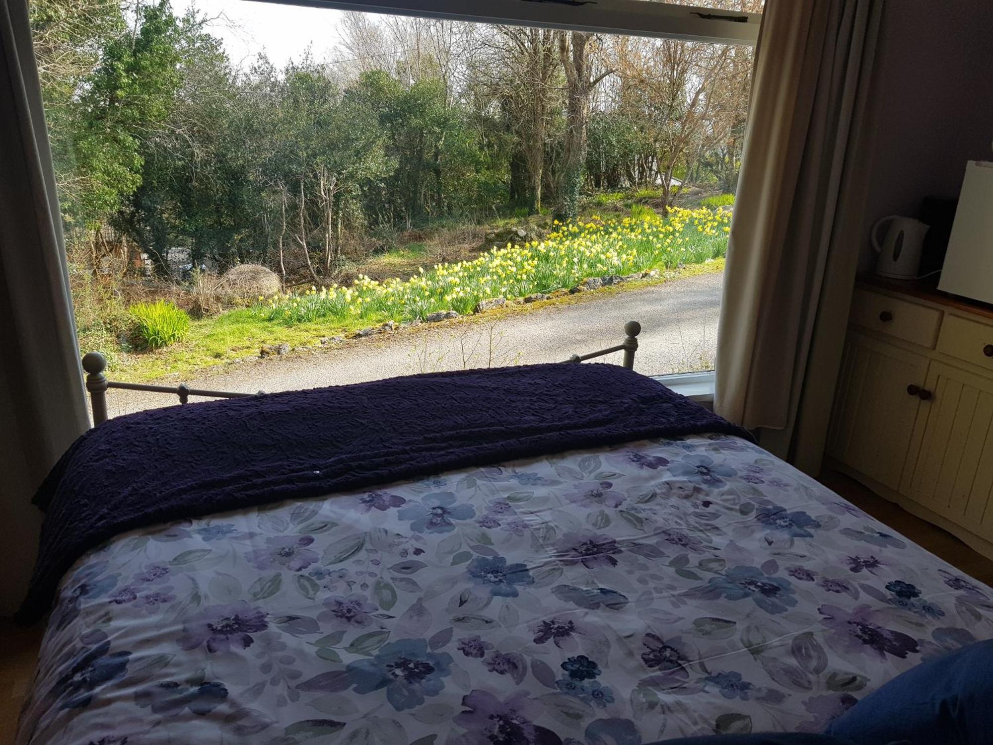 Hollybanks Apartment Moycullen Стая снимка