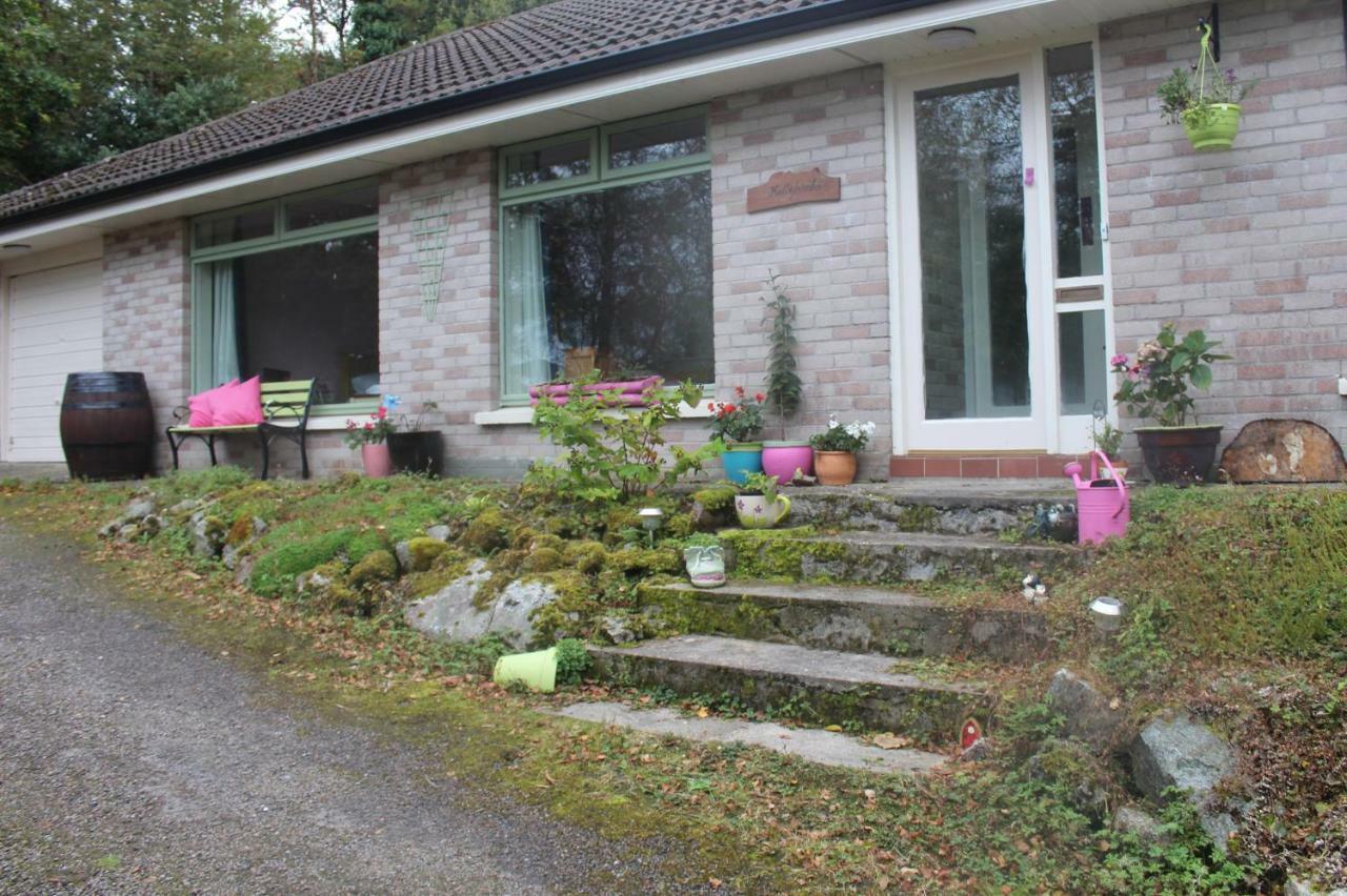 Hollybanks Apartment Moycullen Екстериор снимка